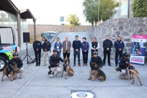 POLICIA MUNICIPAL SE FORTALECE CON LA INCORPORACION DE 10 NUEVOS EJEMPLARES CANINOS 3