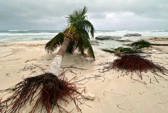 afectaciones huran mexico estados 24 playa