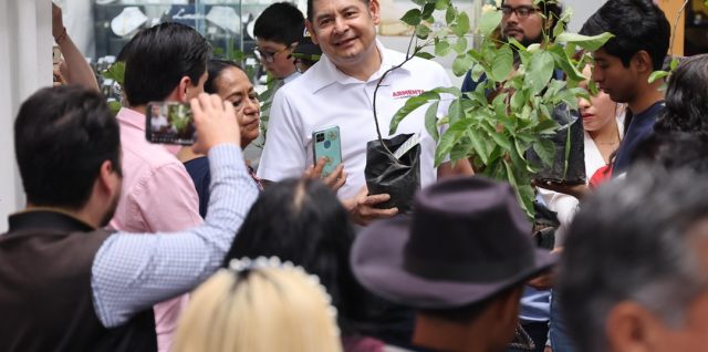 armenta arboles puebla gobernador electo