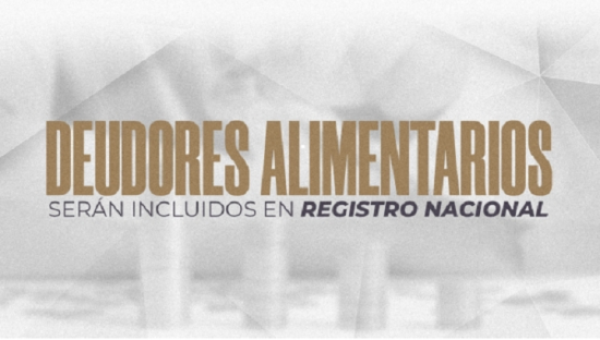 deudores alimentarios congreso puebla