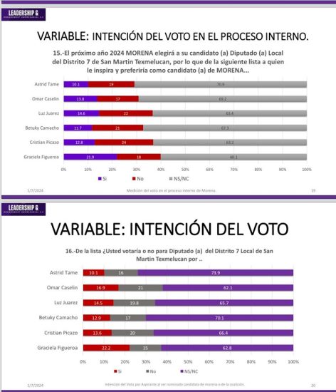 Encuesta demoscópica realizada en el pasado mes de diciembre