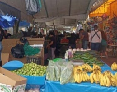 mercado municipal texmelucan calles domingo arenas