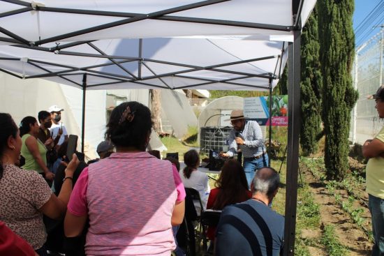 puebla agricultura urbana