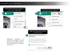 reporte de usuario en whatsapp