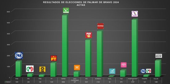 resultados electorales palmar de bravo